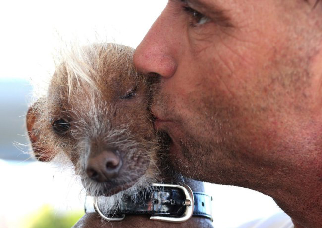 2. Jon Adler đang hôn chú chó Icky của mình
